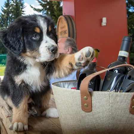 Erlebacherhus Ostello *