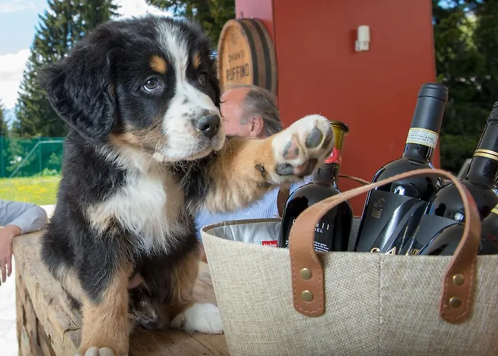 Erlebacherhus Auberge de jeunesse *